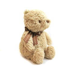 Finding Winnie Book + Plush Set - The New York Public Library Shop