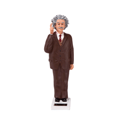 Solar Einstein - The New York Public Library Shop
